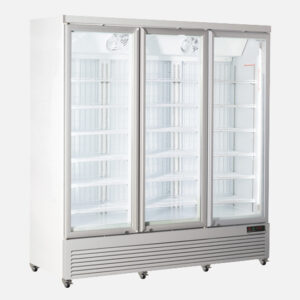 Armadio congelatore 1200 lt. porta vetro - RFG 1900