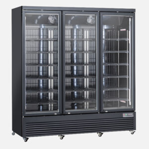 Armadio congelatore 1200 lt. porta vetro - RFG 1900B