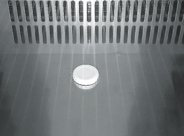 ARMADIO CONGELATORE STATICO - immagine 3